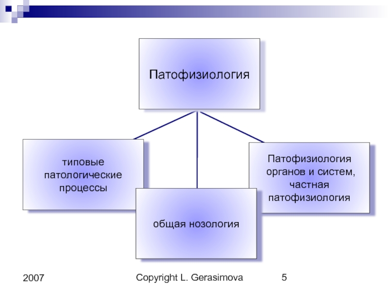 Основные нозологии