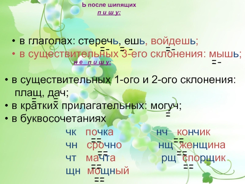 Просклонять мышь. Правописание стережет. Глаголы стеречь. Существительные 3 склонения мышь просклонять. Стеречь склонение.