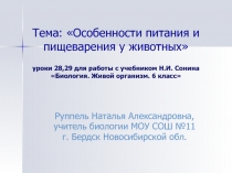 Особенности питания и пищеварения у животных