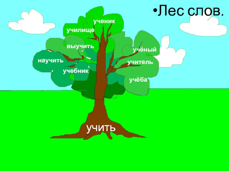 Немецкий семья слова. Дере во с однокореныме словами. Дерево с однокоренными словами. Дерево по русскому языку с однокоренными. Словообразовательное дерево.