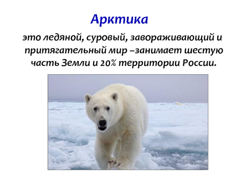 Арктика это ледяной, суровый, завораживающий и притягательный мир –занимает шестую часть Земли и 20% территории России.