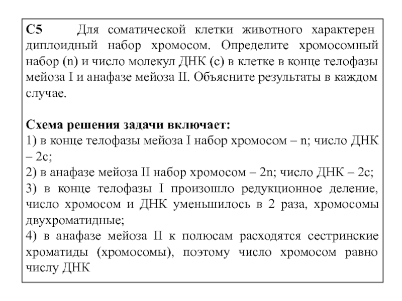 Определите число хромосом и молекул днк. Для соматической клетки животного характерен диплоидный набор. Задачи на хромосомный набор. Для соматической клетки характерен диплоидный набор хромосом. Для соматической клетки животного характерен диплоидный.