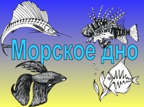 Морское дно