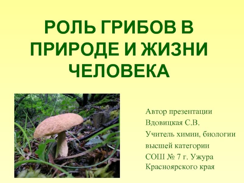 Презентация Роль грибов в природе и жизни человека