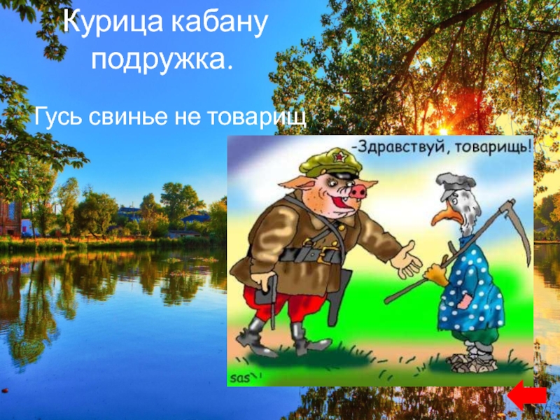 Пословицы гусь свинье