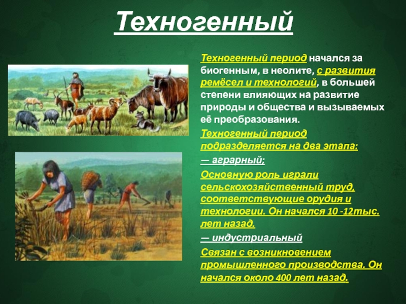 Природа общественных процессов