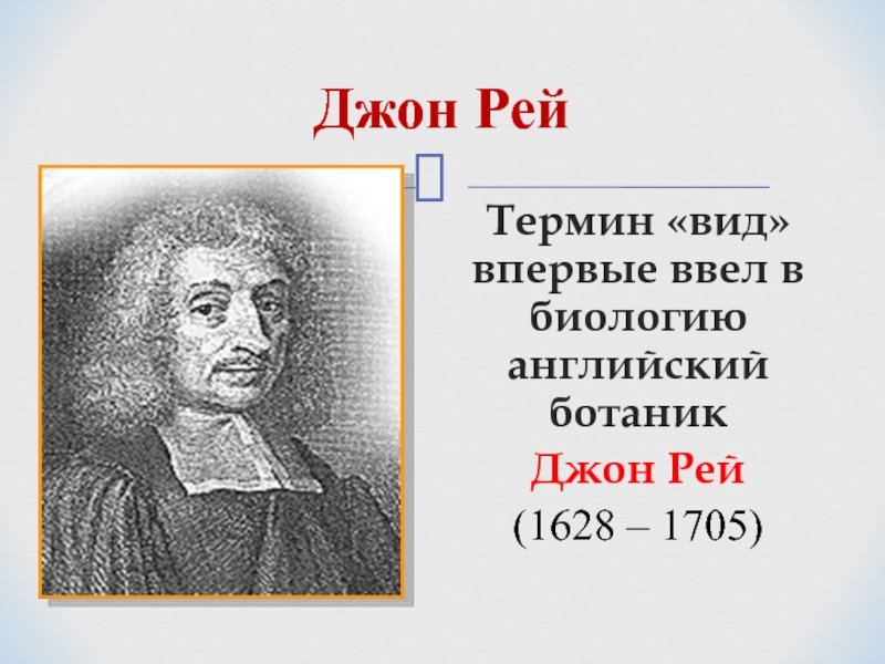 Впервые виду. Джон Рей 1628 1705. Джон Рэй биология. Джон Рей ввел термин вид. Презентация про Джона Рея.