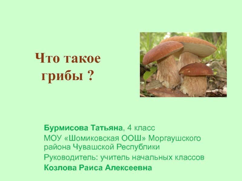 Что такое грибы ?