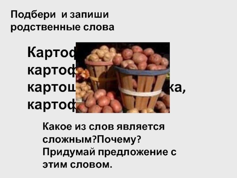 Картошка и картофель это однокоренные слова. Картофель родственные слова. Картофель однокоренные слова. Картофель родственные слова подобрать. Однокоренные слова к слову картошка.