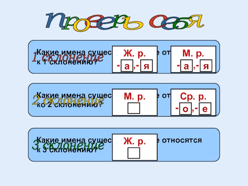 Имена существительные относятся к