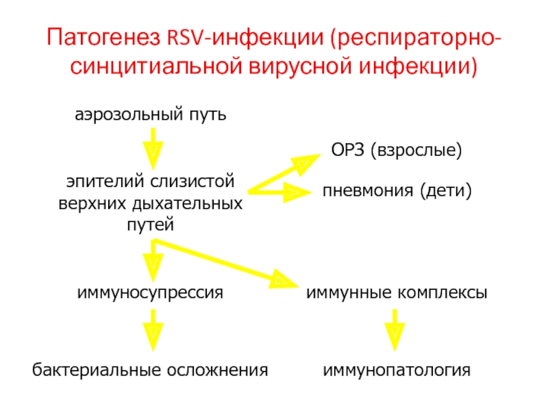 Респираторно синцитиальная инфекция. Респираторно-синцитиальный вирус патогенез. Механизм развития респираторно-синцитиальной инфекции. Патогенез РС вируса. Респираторно-синцитиальная инфекция (PC-инфекция) патогенез.