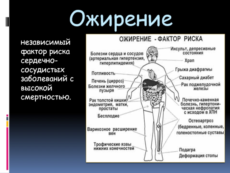 Факторы ожирения. Факторы риска ожирения. Ожирение является фактором риска. Факторы риска заболевания ожирения. Избыточный вес как фактор риска.