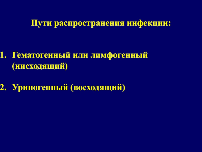 Лимфогенный гематогенный. Гематогенный путь распространения инфекции. Лимфогенный путь пиелонефрита. Лимфогенный путь распространения инфекции. Гематогенный путь.лимфогенный путь..