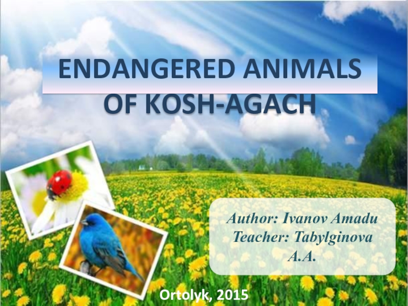Endangered animals Of kosh - agach