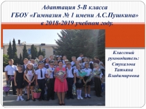 Адаптация 5-В класса ГБОУ Гимназия № 1 имени А.С.Пушкина в 2018-2019 учебном