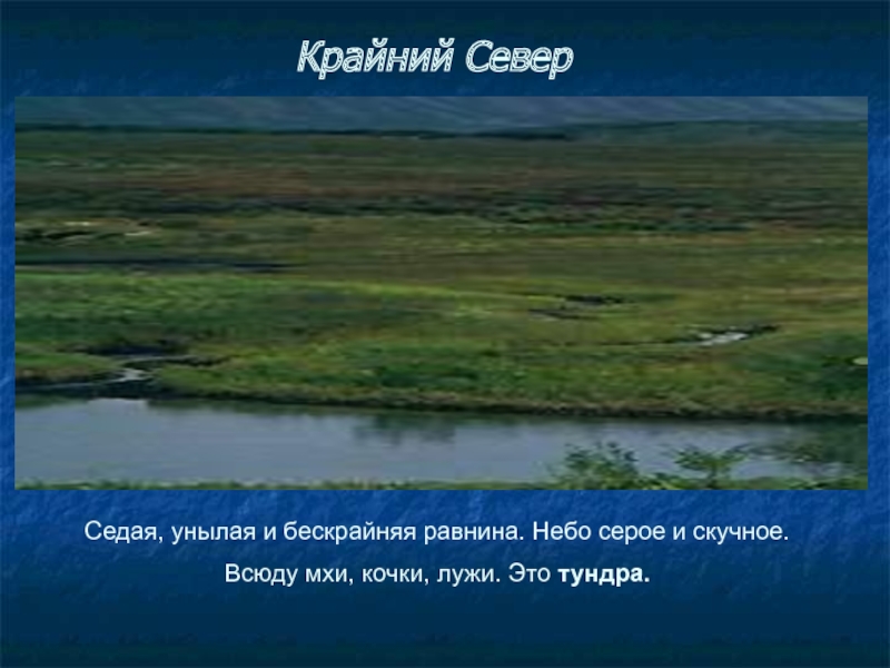 Бескрайней равнине или бескрайной как правильно. Седая равнина. Диктант равнина Седая. Русский язык 4 класс рассказ тундра равнина Седая,унылая и серая. Русский диктант тундра 4 класс : равнина Седая унылая.