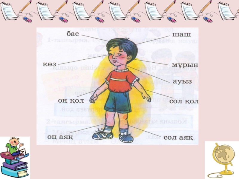 Казахский язык 4 класс 3 часть. Части тела на казахском языке. Задания по казахскому языку для детей. На казахском языке части тела человека. Части тела по казахски.