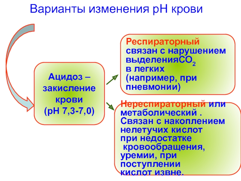 Измененный вариант