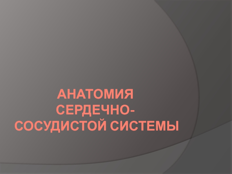 Презентация АНАТОМИЯ СЕРДЕЧНО-СОСУДИСТОЙ СИСТЕМЫ