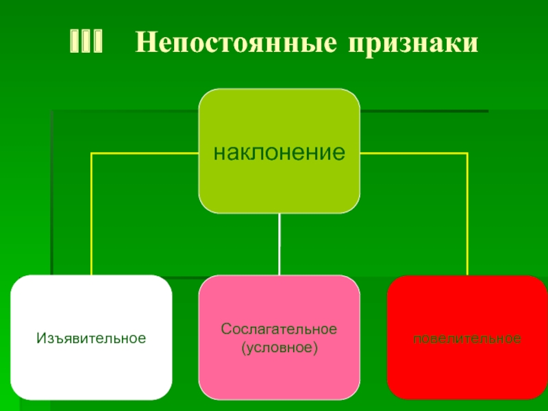 Непостоянные морфологические признаки