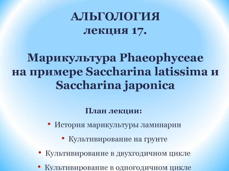 АЛЬГОЛОГИЯ лекция 17. Марикультура Phaeophyceae на примере Saccharina latissima