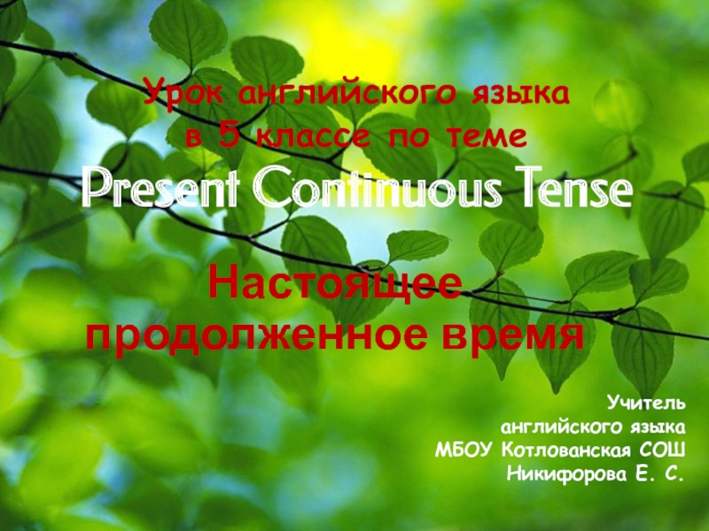 Present Continuous Tense 5 класс