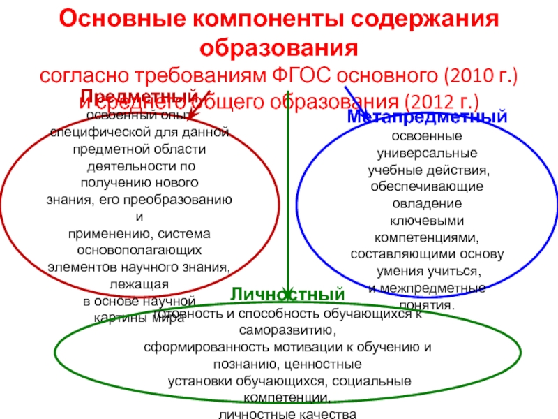 Социальный опыт и содержание образования