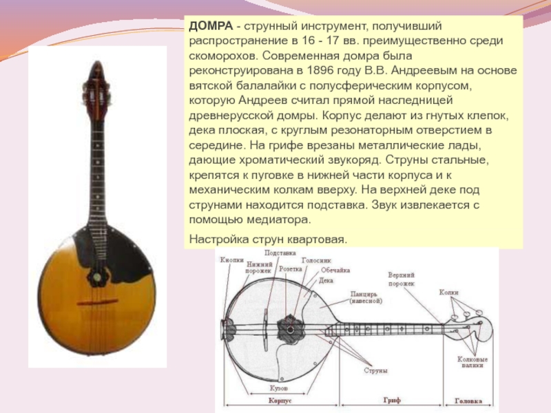 Виды домры фото и названия