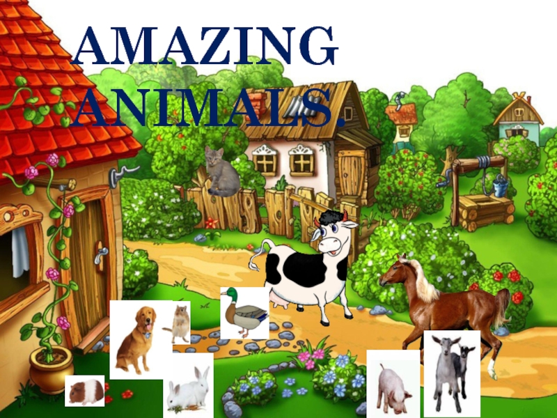Презентация Удивительные животные