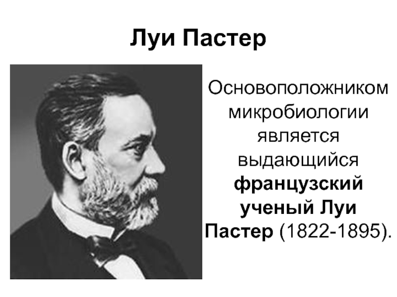 Презентация про луи пастера на английском