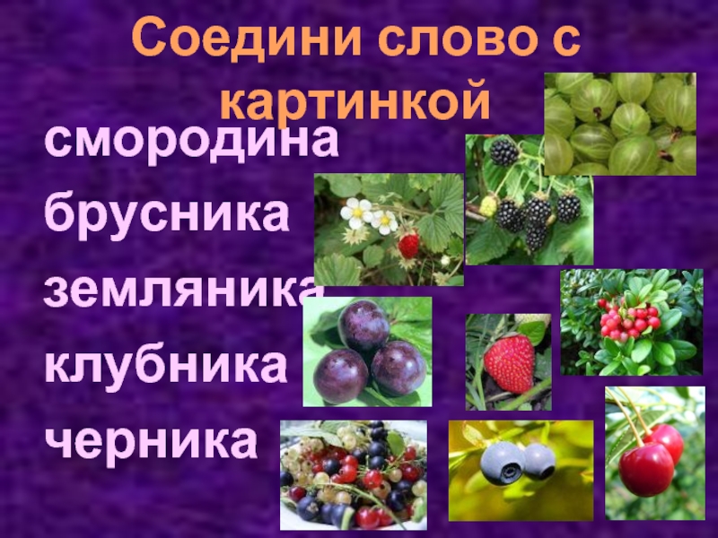 Схемы слов смородина брусника земляника