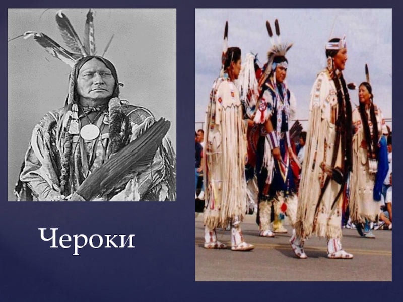 Какое коренное население северной америки