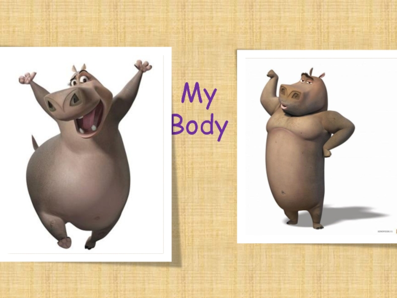 Презентация My body