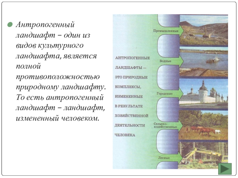 Виды культурных ландшафтов схема география 6