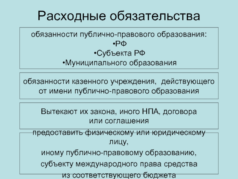 Публично правовые образования классификация. Расходные обязательства публично-правовых образований. Типы расходных обязательств публично-правовых образований. Виды расходных обязательств. Расходные обязательства РФ,субъектов , муниципальных образований.