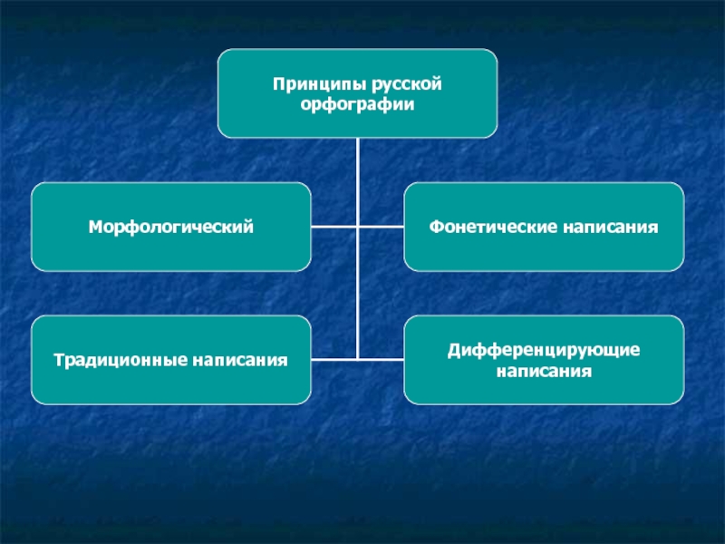 Традиционный принцип русской орфографии