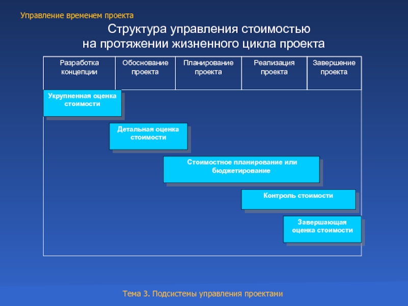 Стоимостный план проекта