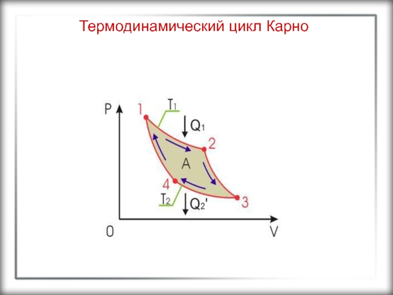 На рисунке изображен цикл карно в координатах t s где