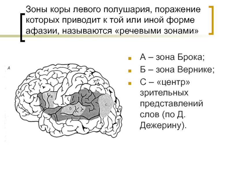 Центр схемы тела