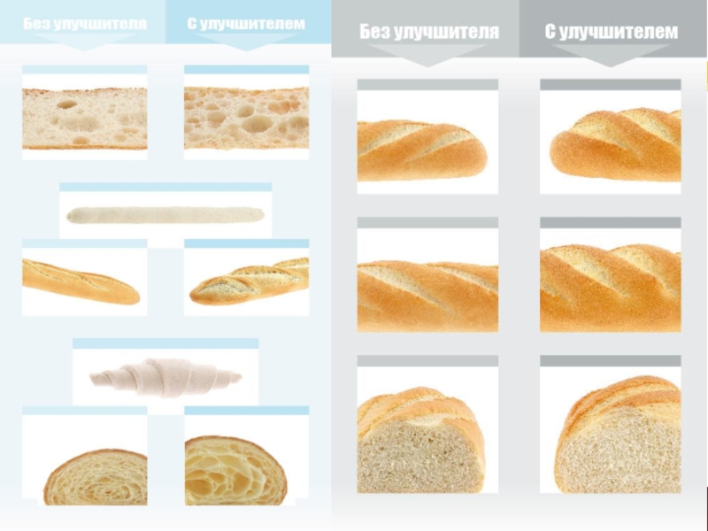 Реферат: Микрофлора хлебобулочных и кондитерских изделий