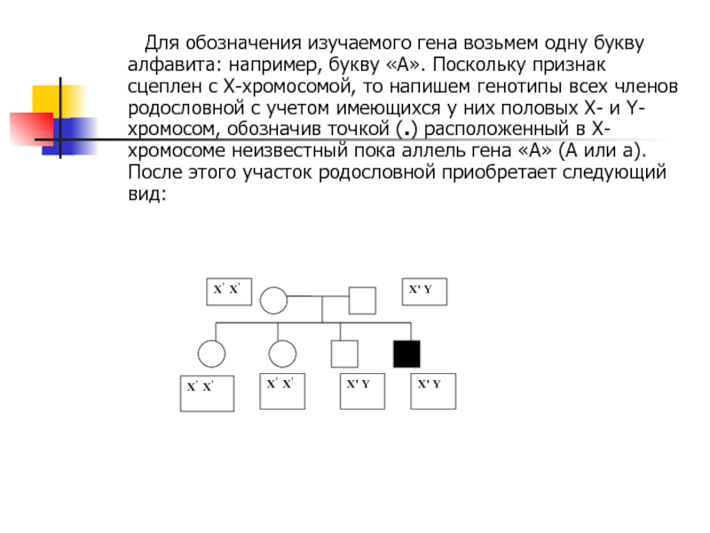 Тест на родословную