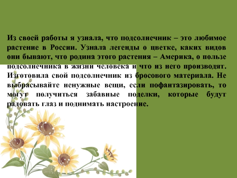 Из своей работы я узнала, что подсолнечник – это любимое растение в России. Узнала легенды о цветке,