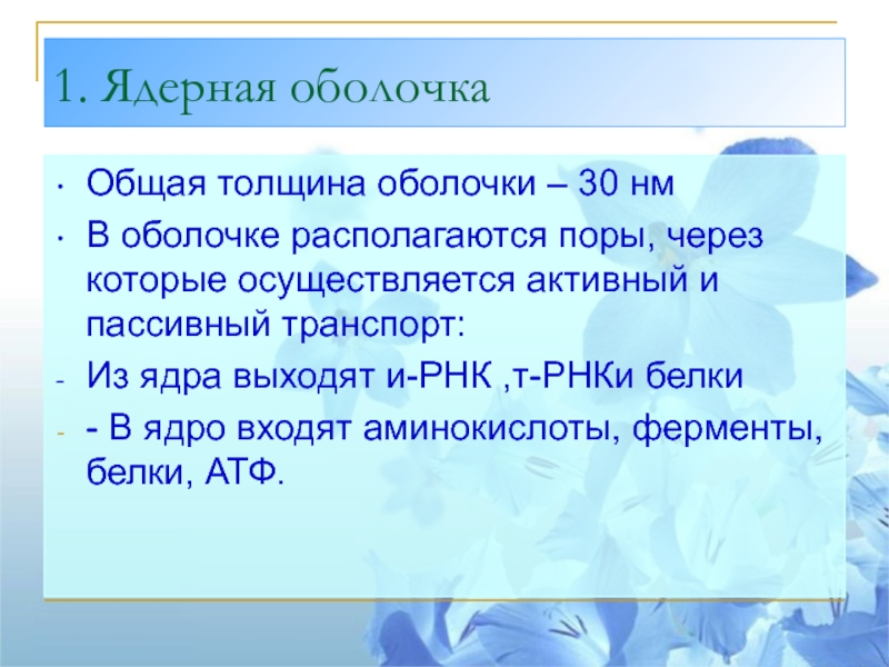 Толщина оболочки. Выход из ядра. Через поры на ядерной оболочке осуществляется активный и пассивный. РНКИ.