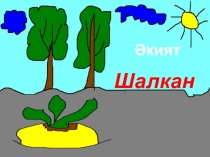 Шалкан