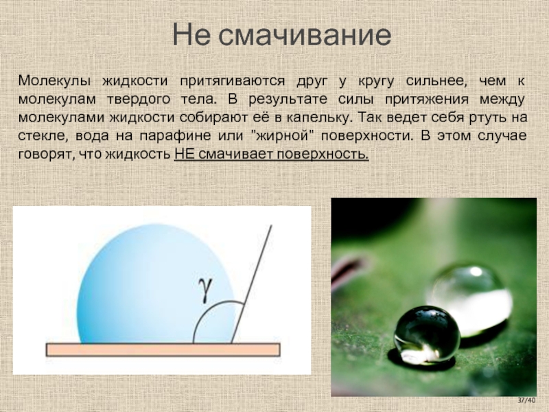 Смачиваемость. Смачивание жидкости физика. Смачивание и несмачивание. Смачевание не смачивоние. Явление смачивания.