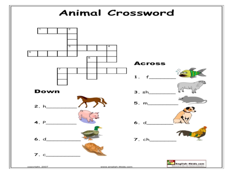 Кроссворд животные на английском 3 класс. Animal crosswords. Animals crossword for Kids.