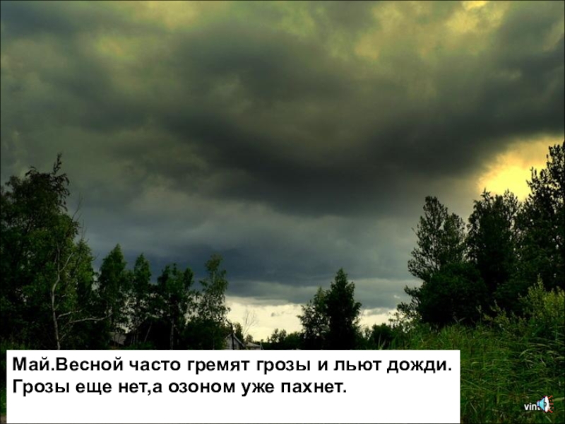 В мае грохочут грозы. Гроза гремела ливень. Марта гроза дождь тает. Фото стихотворение люблю грозу в начале мая. Гремит не от природы.