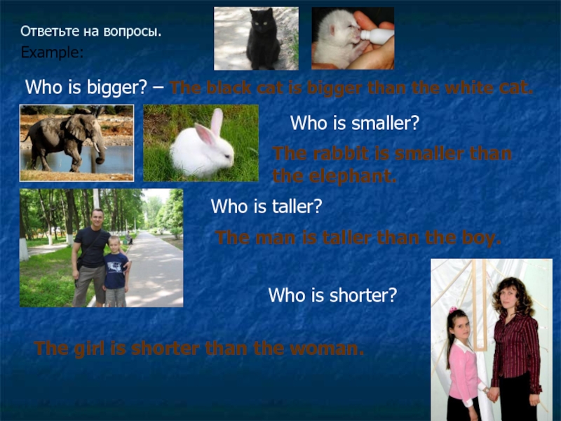 Whom examples. Who is Taller than 4 класс. Who is Taller 4 класс. Whose examples. Who are they who is Taller than.