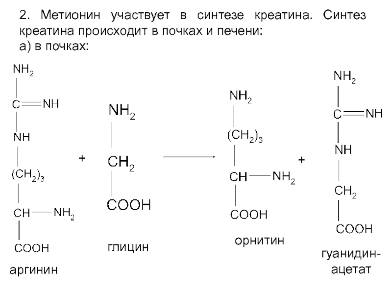 Метионин какая аминокислота. Синтез гомоцистеина метионина. Схема получения метионина. Синтез креатина из метионина. Синтеза метионина и ацетата.