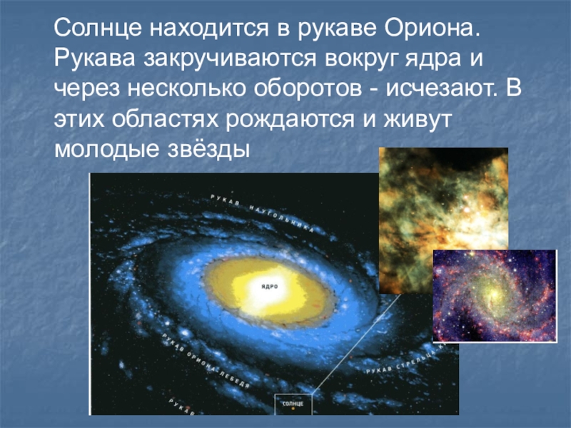 Рукав ориона проект